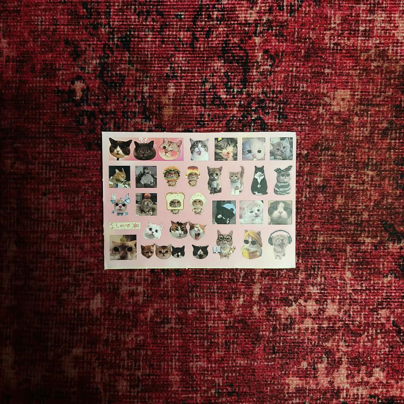 Cats Sticker Set – Pocket Joy